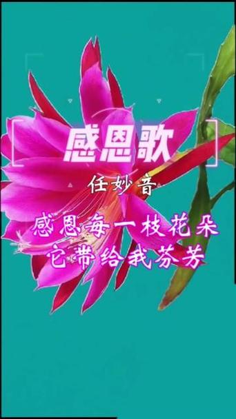大桥卓弥 ありがとう歌词缩略图