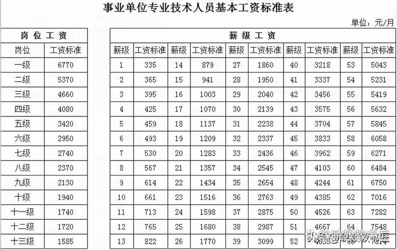 单位等级怎么填写