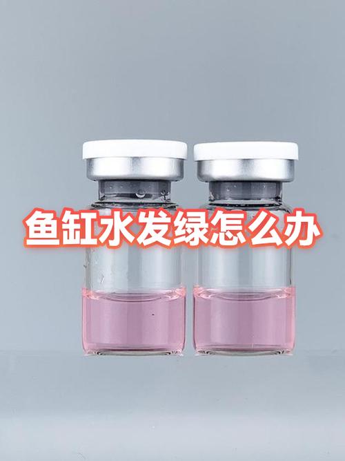 鱼缸水绿了需要换水吗图标