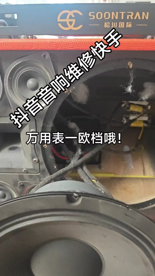 看抖音视频声音变小了截图