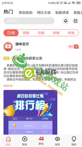 猫咪大集合1.0.0版本最新版本更新内容