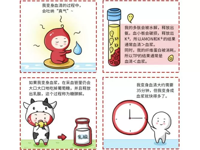 打血清多少钱一针 (被猫抓了打血清多少钱一针)缩略图