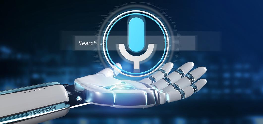 voice search什么意思