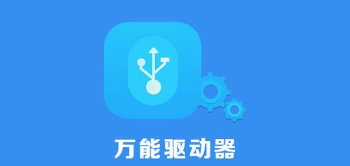 视频驱动软件下载安装截图