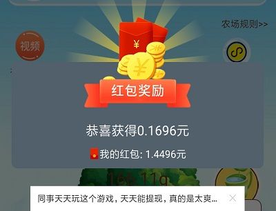 多多果林红包版