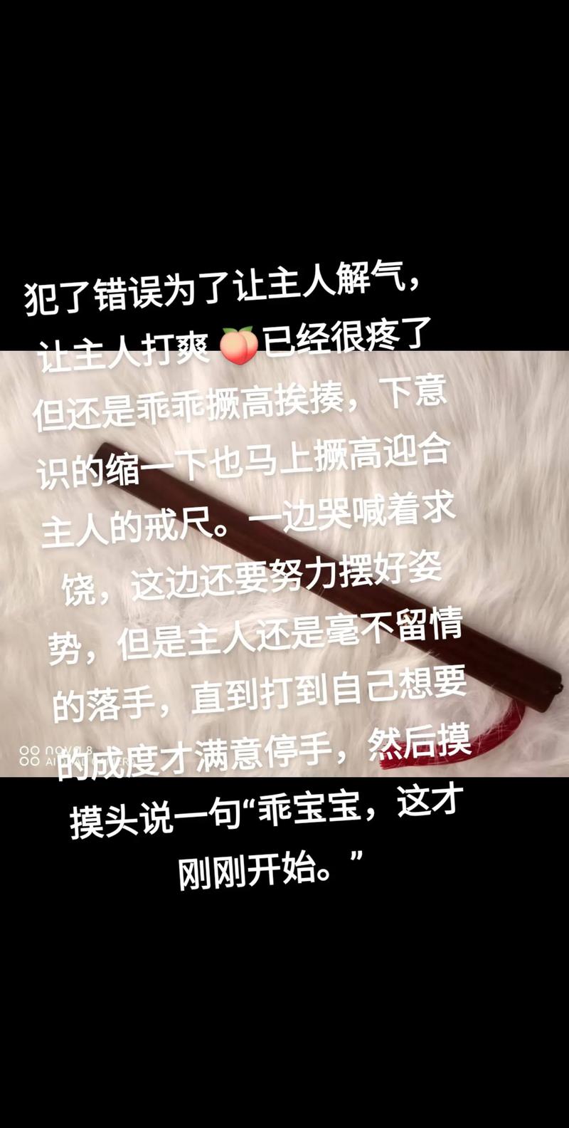 小圈管教实践网站图标