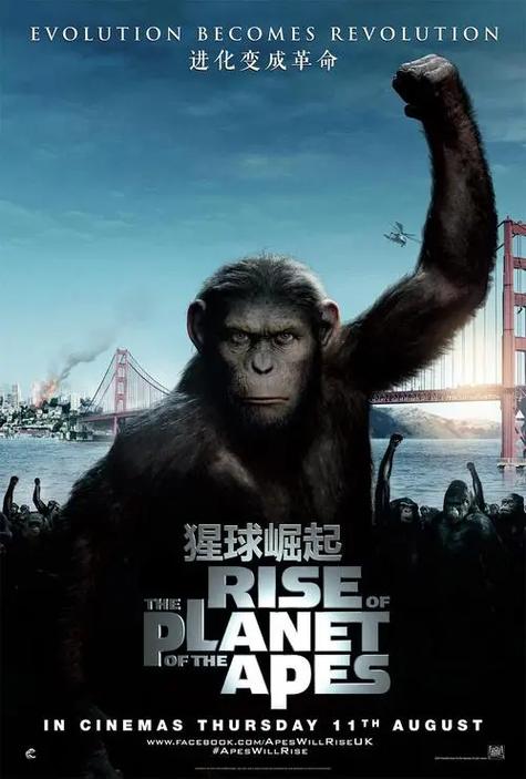 猩球崛起4国语免费观看全集缩略图