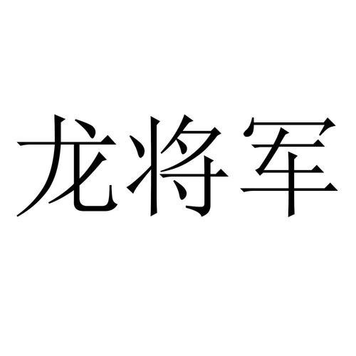 龙将军直装v14图标
