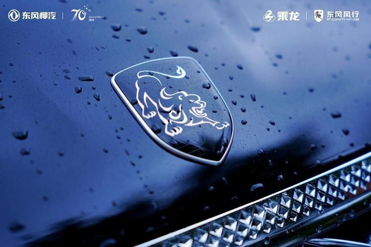 老鹰直装V9截图