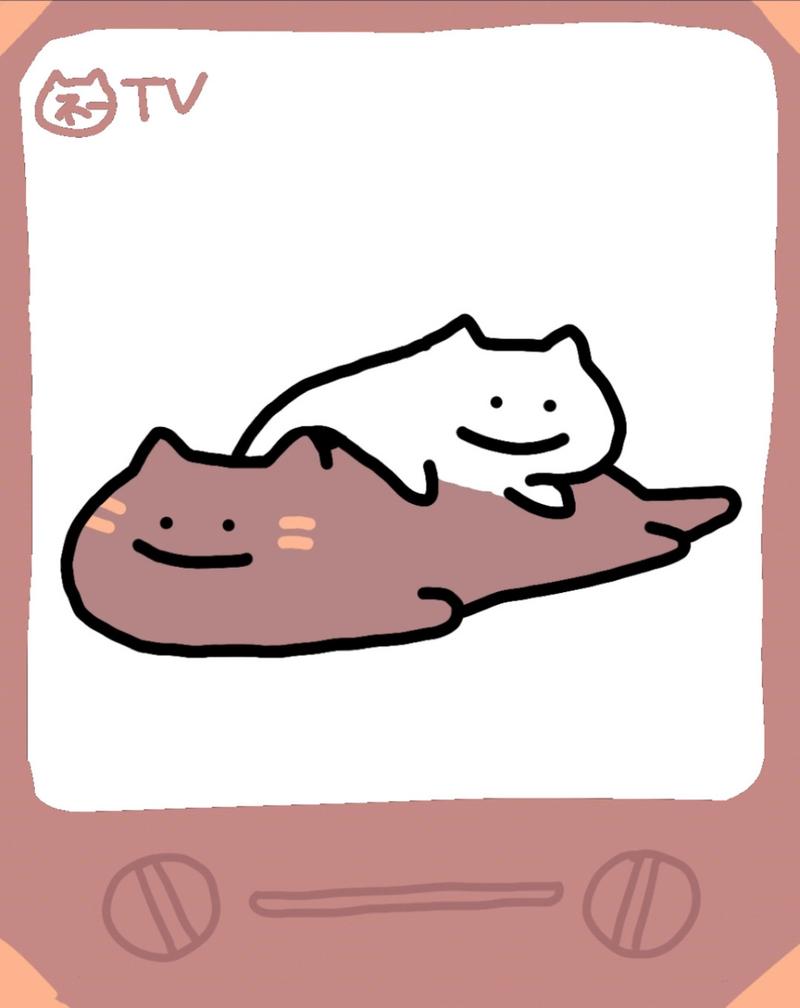 8769.TV小猫缩略图