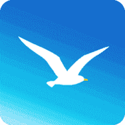 海鸥加速器永久vp最新缩略图