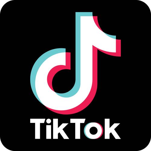tiktok城人版(破解版)2024图标