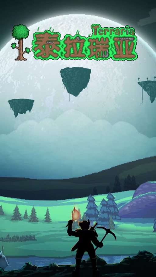 terraria3D版手机安装截图