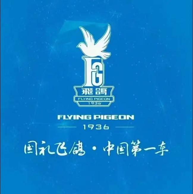 飞鸽官网网站缩略图