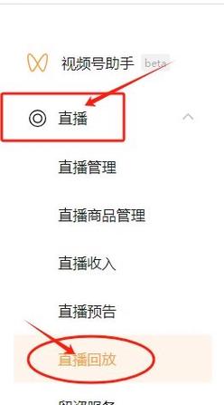 如何别人的直播回放游戏截图