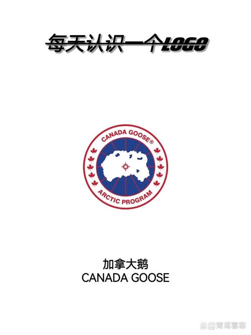 goose意思图标