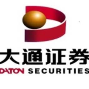 大通证券手机版官方网站缩略图