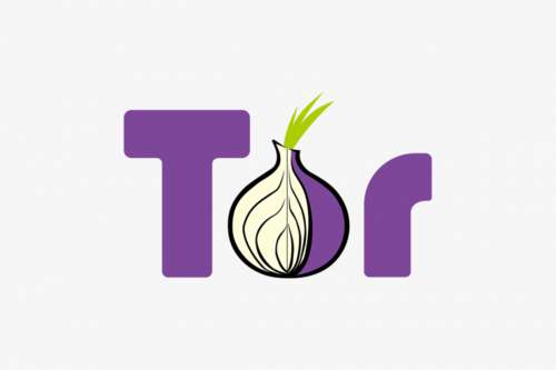 tor洋葱官网网址游戏截图