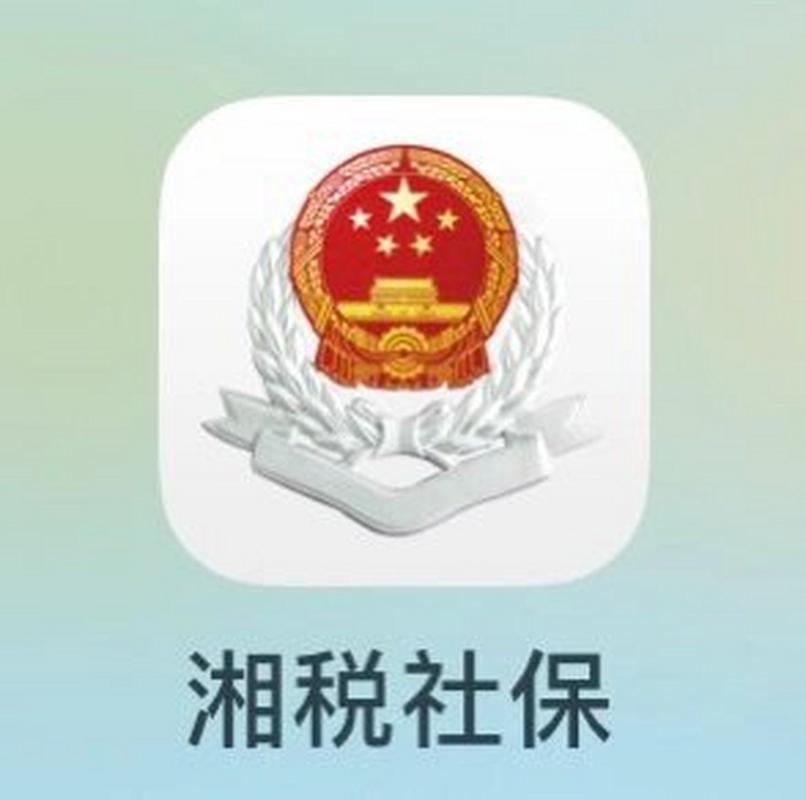 湘税医保缴费2025缩略图