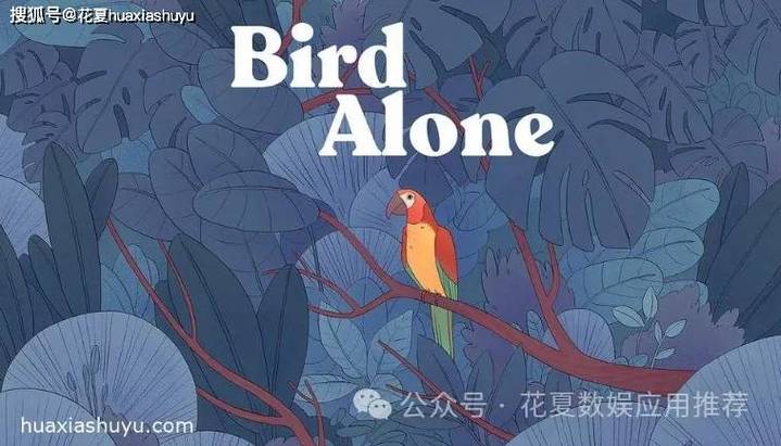 孤独的鹦鹉游戏