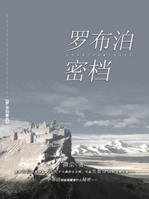《罗布泊密档:古城迷境》
