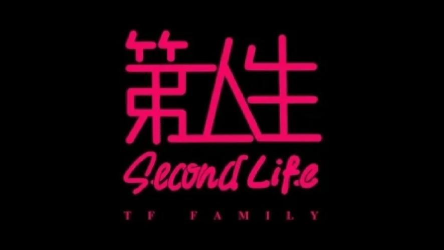 我的第二人生