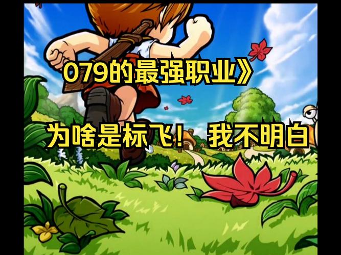 冒险岛 079