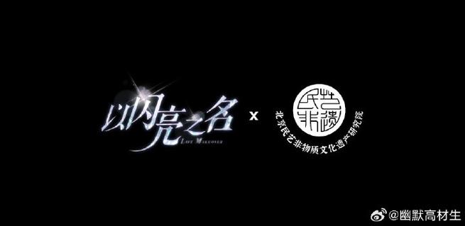 以闪亮之名怎么