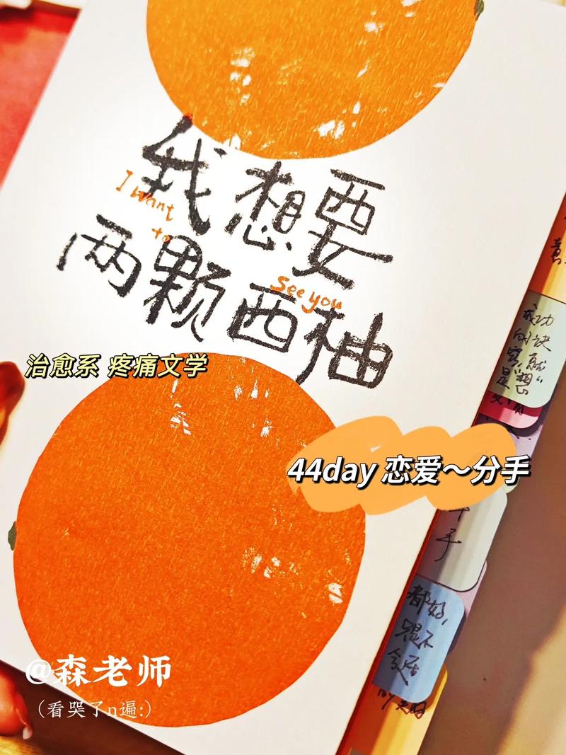 西柚小说免费阅读在线观看