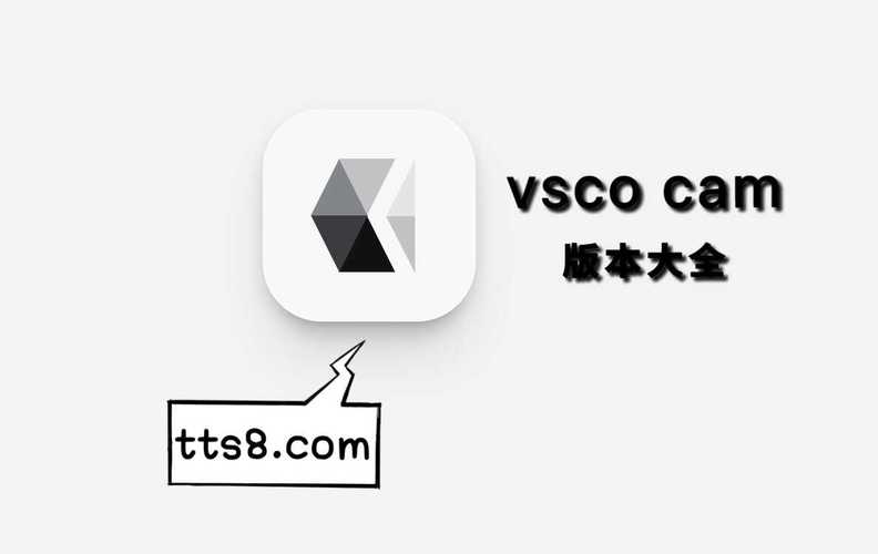 vsco破解中文版截图