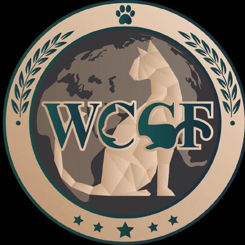 wc3818290阿巴基猫yealico