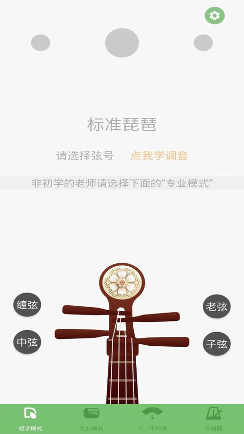 琵琶调音器