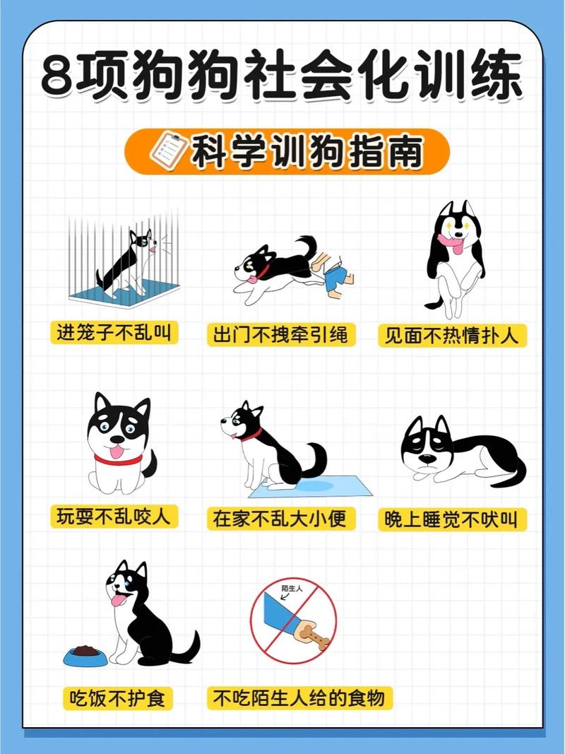训狗的正确方法和技巧