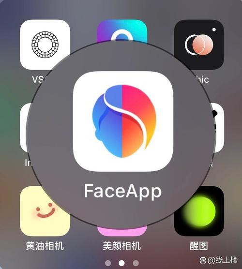 Faceplay软件
