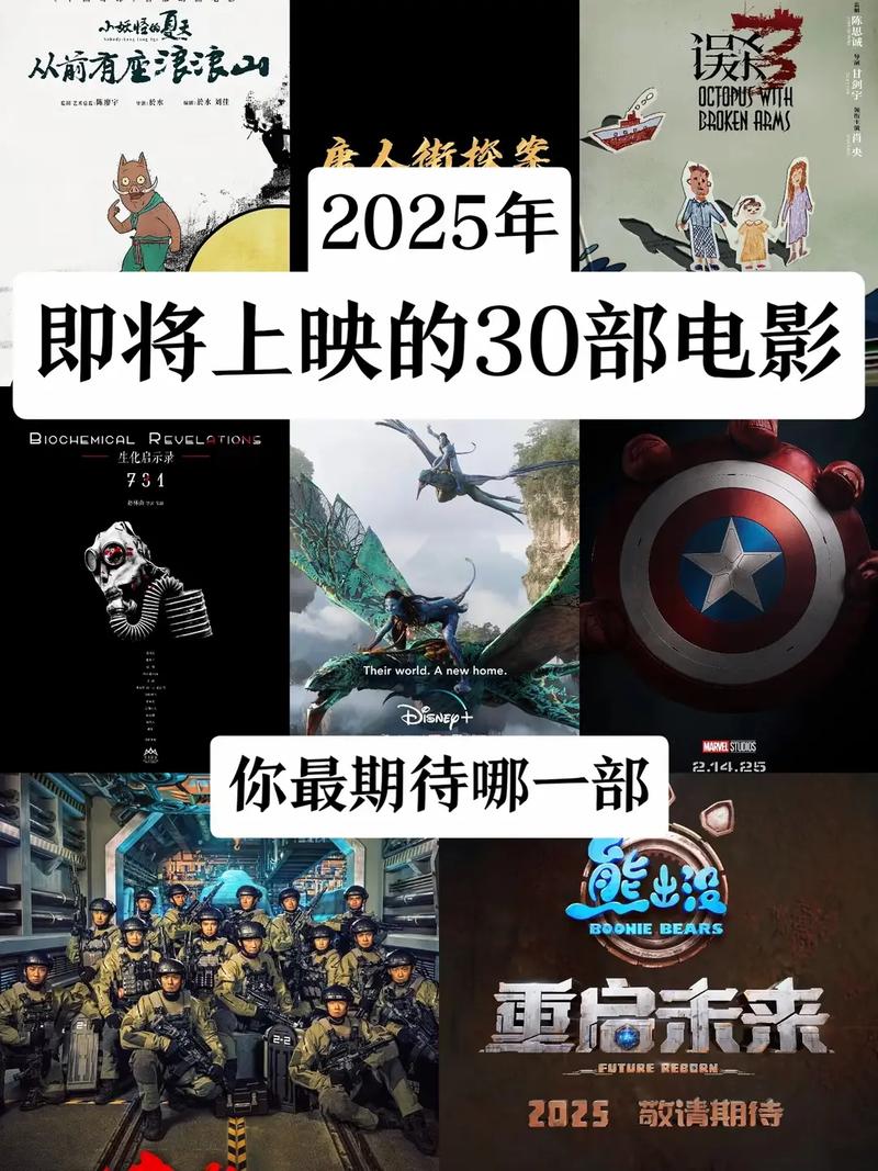 影视破解版2025缩略图