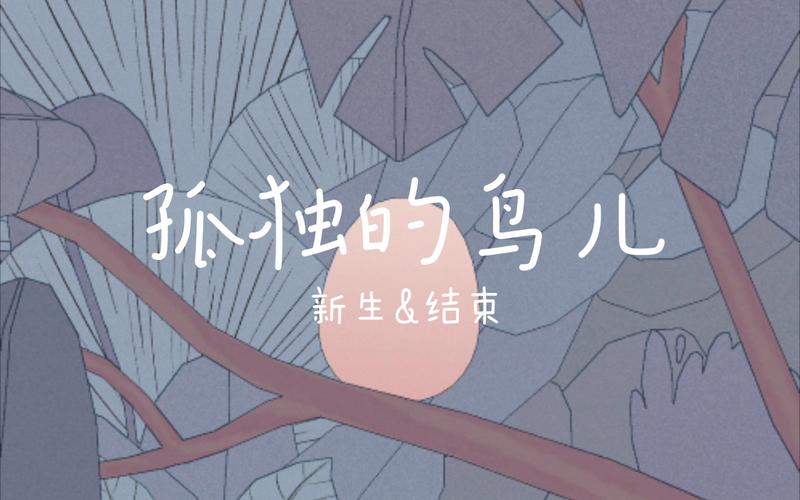 孤独的鸟儿官方