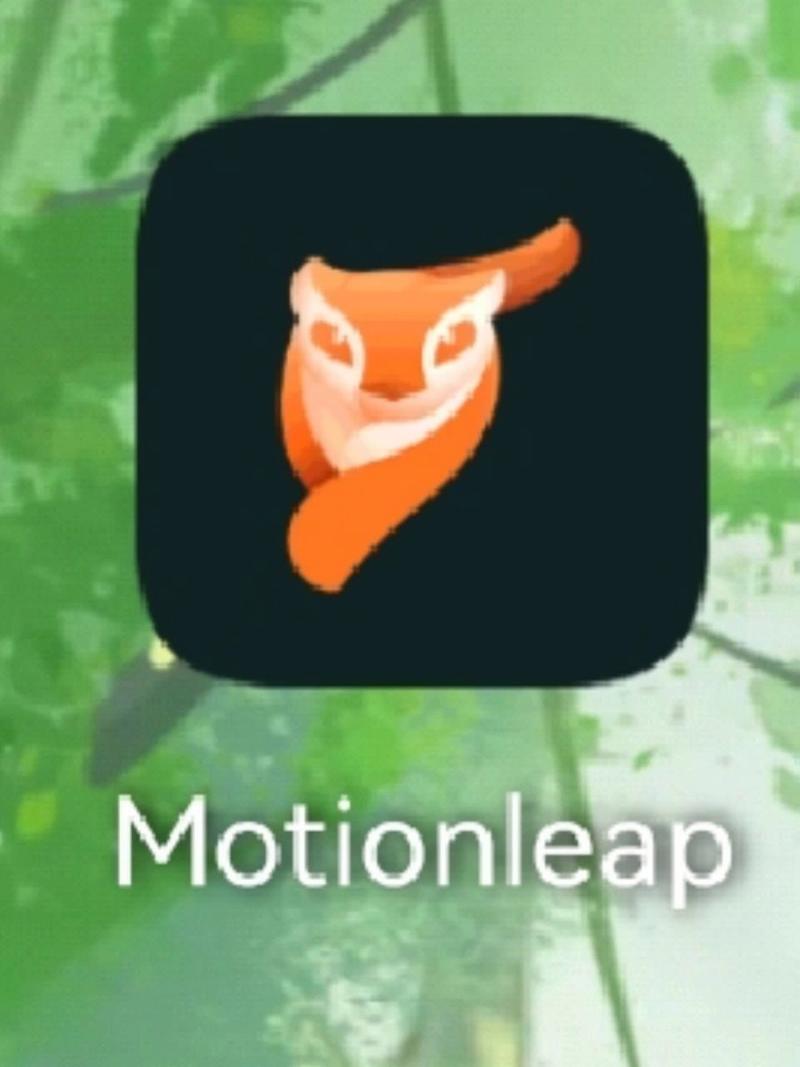 motionleap官方正版地址