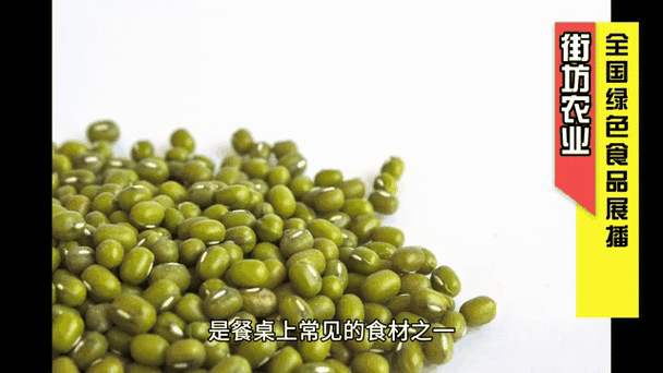 绿豆动态壁纸打不开截图