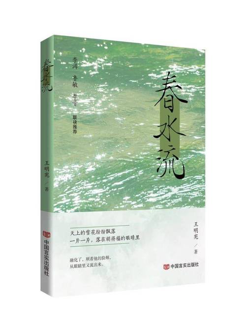 春水流小说图标