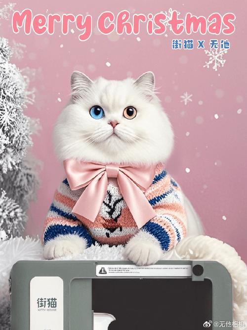 奇迹猫漫画