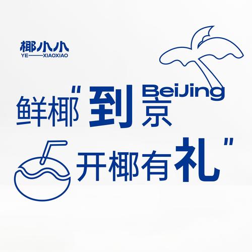 椰子助手手机版图标
