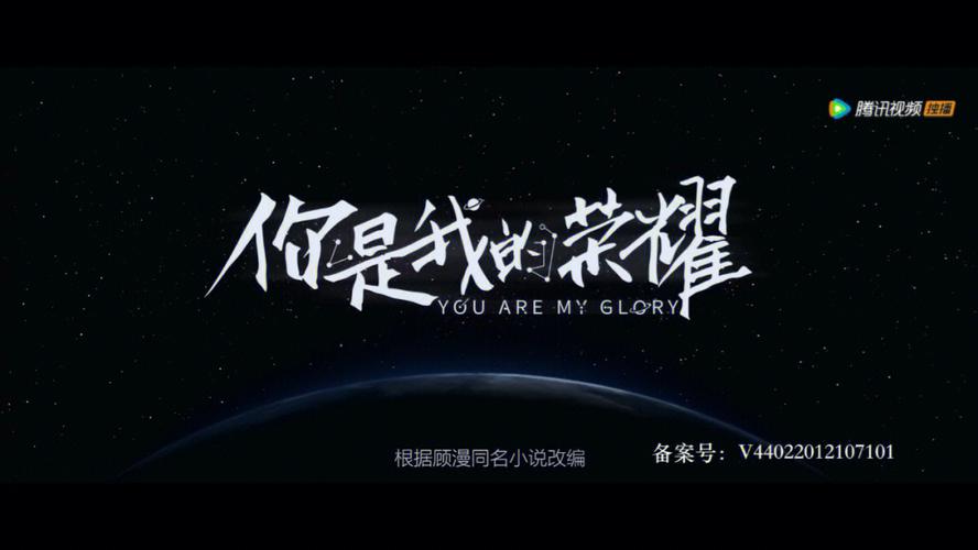 你是我的荣耀小说