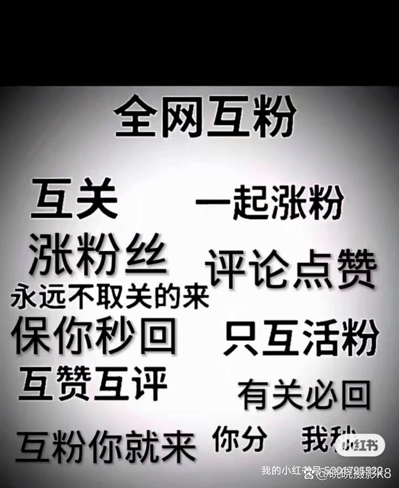 快手名人榜互粉