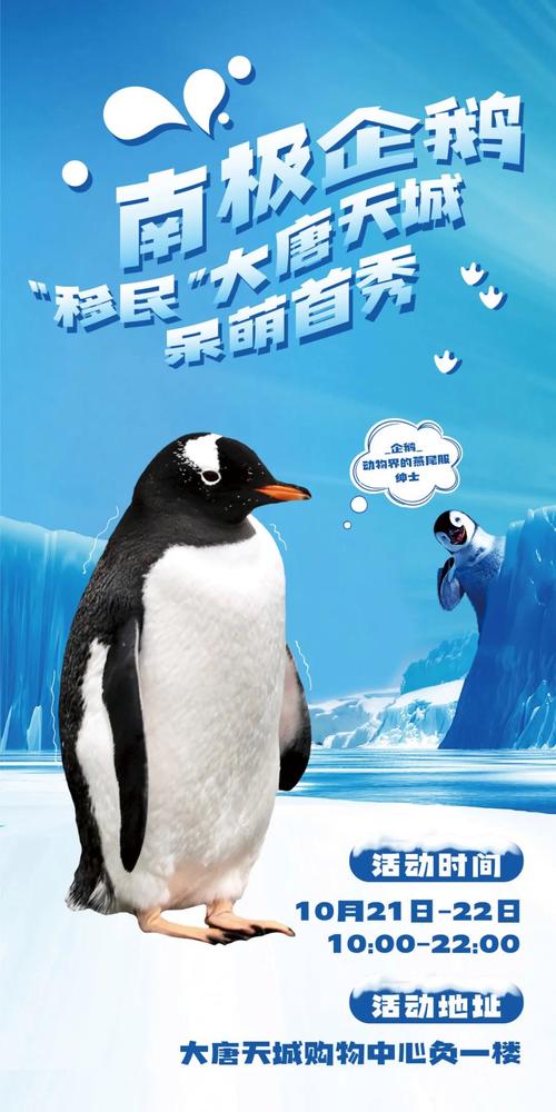 南极乐园养企鹅app
