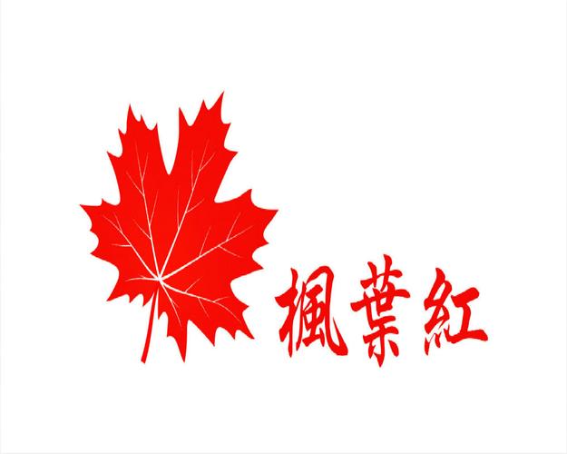枫叶社工最新中文版缩略图