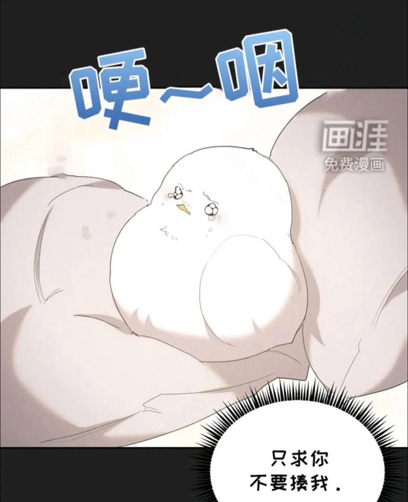 啾啾漫画韩漫