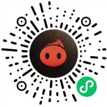 小猪快推v1.4