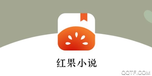 红果追书小说安卓版