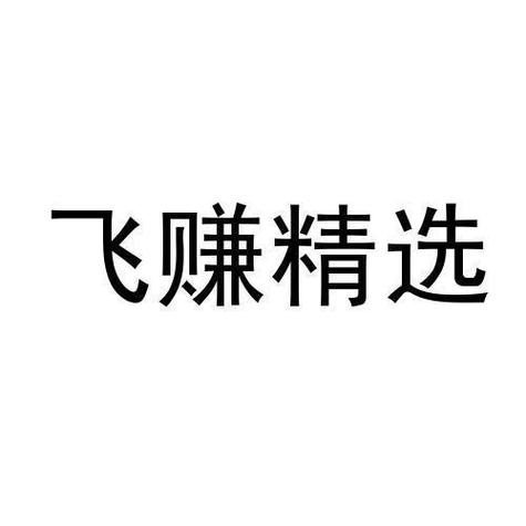 飞赚MX