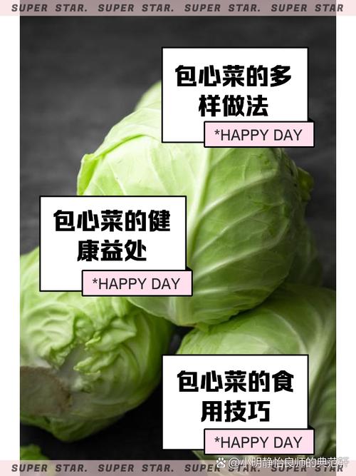 包菜资讯红包版图标